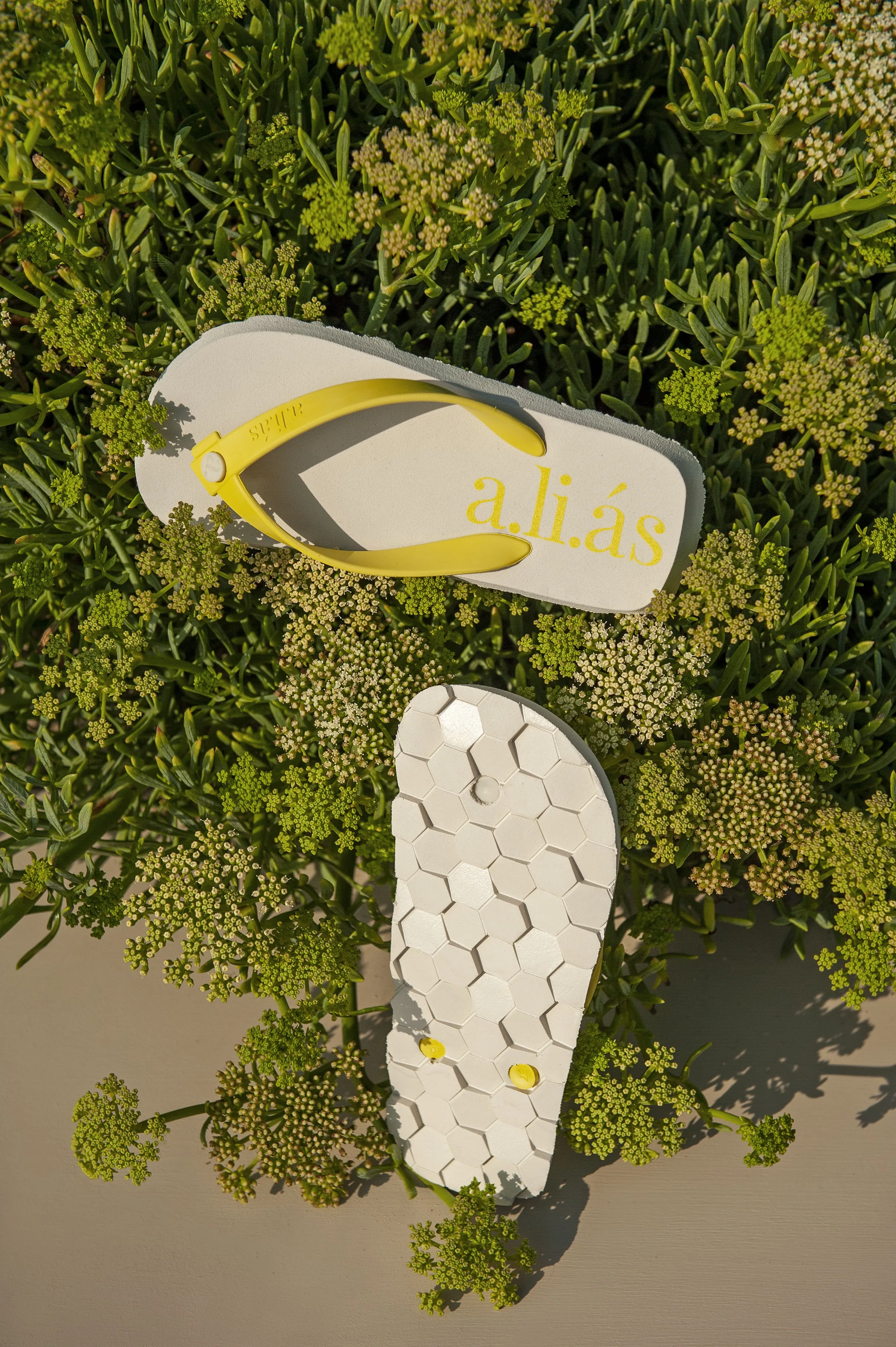 Flos Rubber Flip Flops | Off-White/Celery