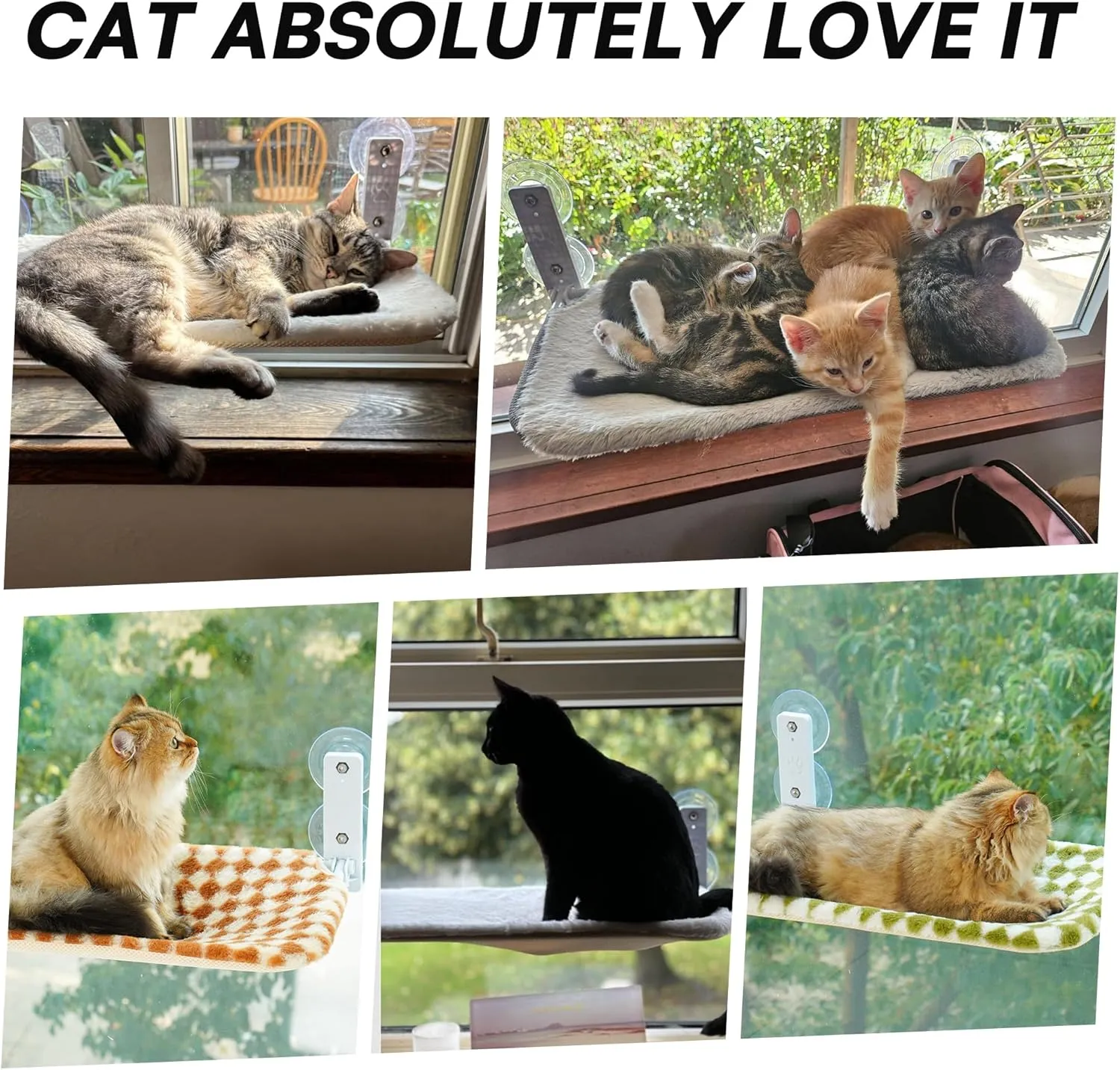 MEWOOFUN Cat Hammock - Steel Frame & Suction Cup Mount, Indoor Window Seat (Green, Medium)